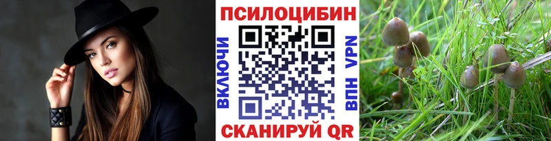 Псилоцибиновые грибы MAGIC MUSHROOMS  купить наркотики цена  Яровое 